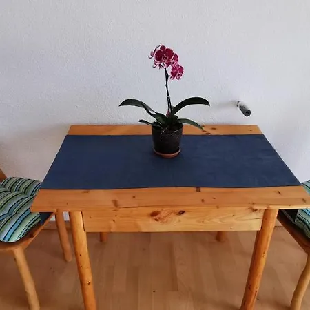 Bora Moscenicka Draga Bed & Breakfast